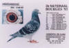 EEN TALENTVOLLE VLIEGER EN KWEKER