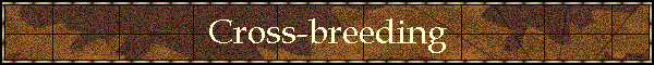 Cross-breeding