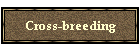 Cross-breeding