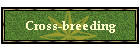 Cross-breeding