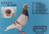 DEZE KLEPPER WON 4X IN DE TOP 100 NATIONAAL!